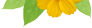 декорация